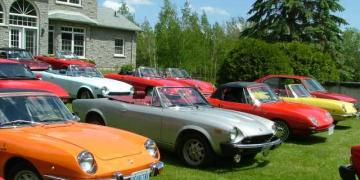 2009-06-06 Fiat Farm Gathering