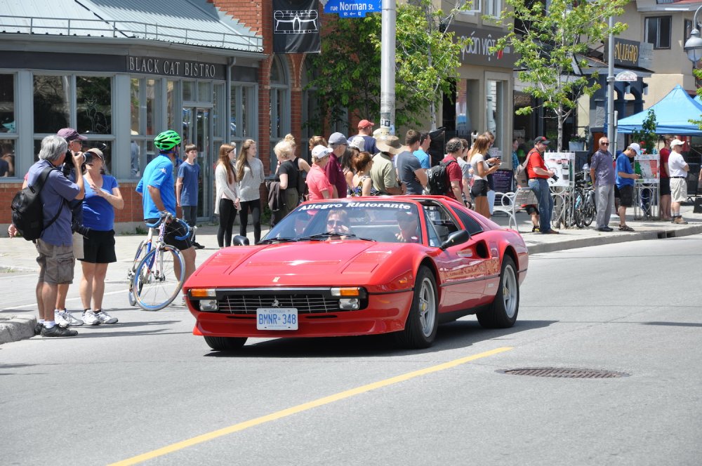 ItalianWeek2015 284